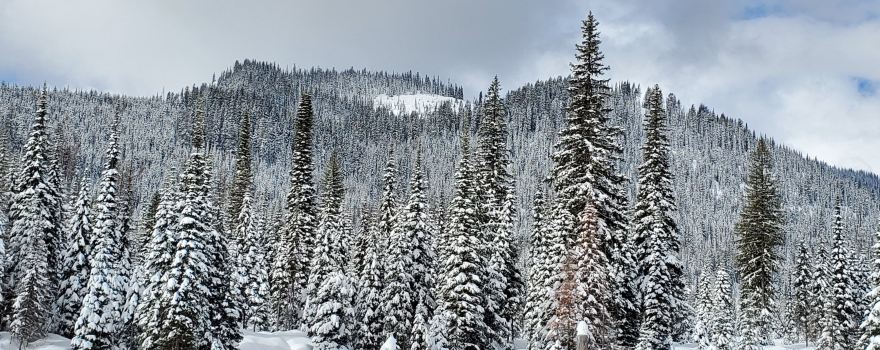 Northwest Montana Adventures