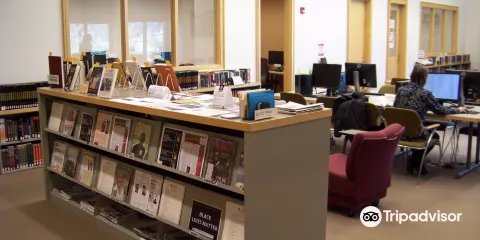 Neal-Marshall Black Culture Center Library