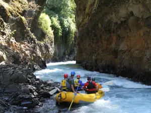 Wet Planet Whitewater Rafting & Kayaking