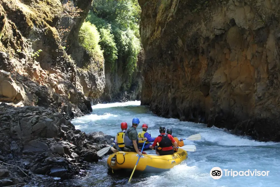 Wet Planet Rafting and Kayaking