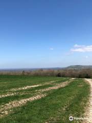 South Downs Way National Trail