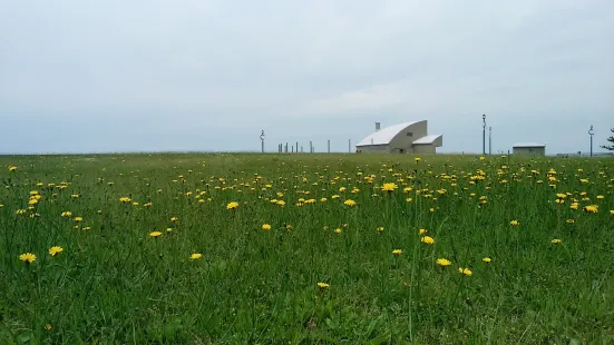 はまなす公園