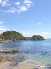 Coastal Kayakers - Bay of Islands