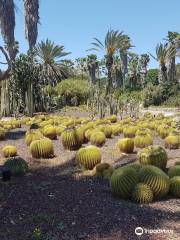 Rocks garden