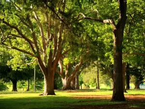 Queens Park Toowoomba