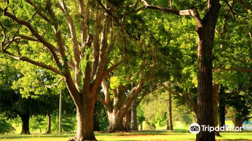 Queens Park Toowoomba