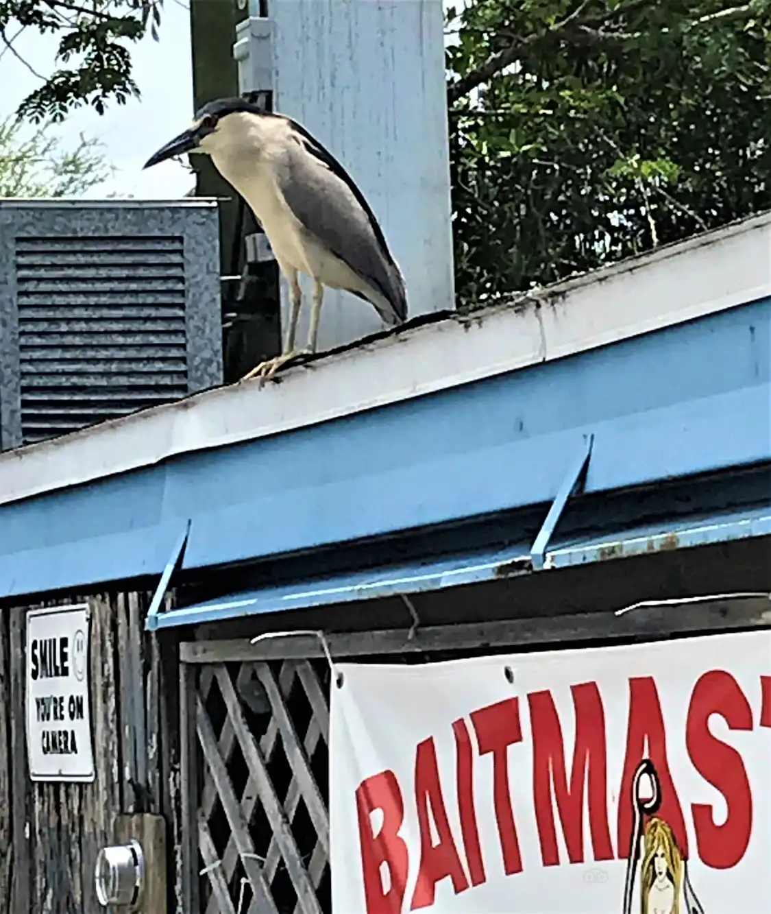 Hotel dekat Mastry's Bait and Tackle