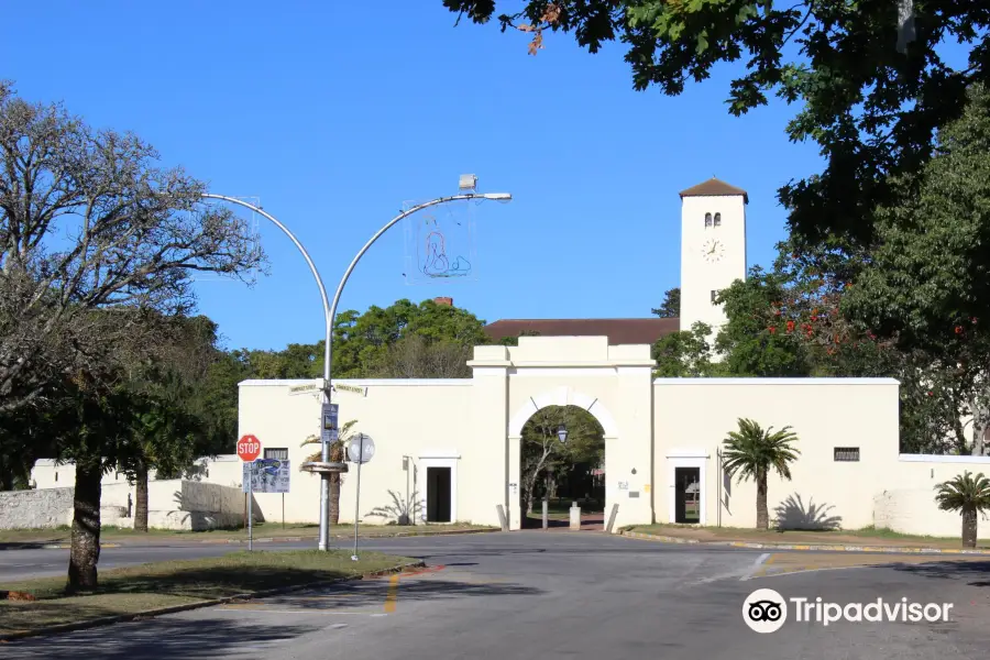 Albany Museum Grahamstown