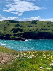 Tintagel King Arthur Walk - South West Coast Path