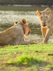 Somkhanda Game Reserve