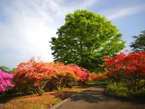 長峰公園