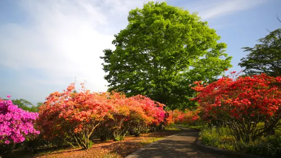 長峰公園