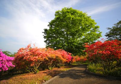 長峰公園