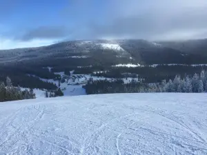 Showdown Ski Area