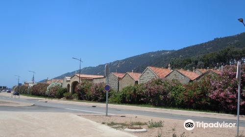 Cimetiere des Sanguinaires