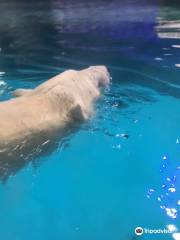 サンパウロ水族館