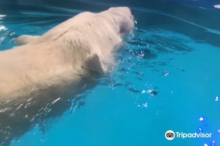 Sao Paulo Aquarium