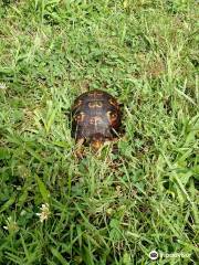 Natural Lands' Crow's Nest Preserve