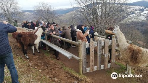 La Montagnes des Lamas