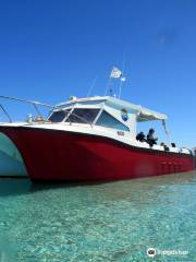 Shark Bay Dive & Marine Safaris