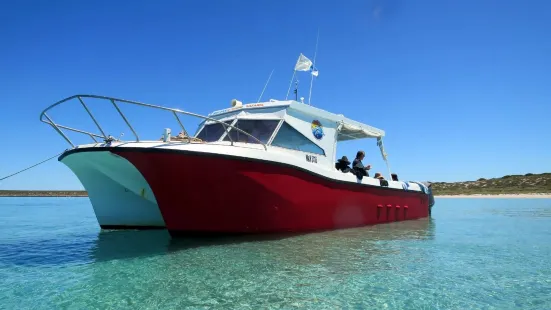 Shark Bay Dive & Marine Safaris