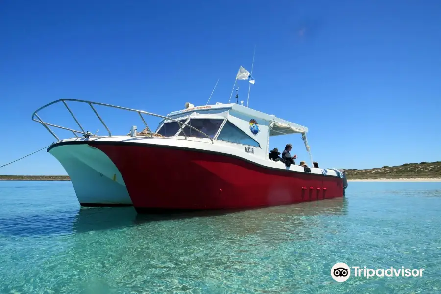 Shark Bay Dive & Marine Safaris