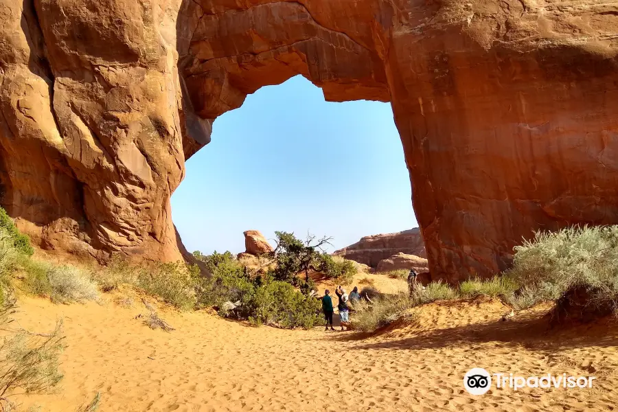 Pine Tree Arch Trl