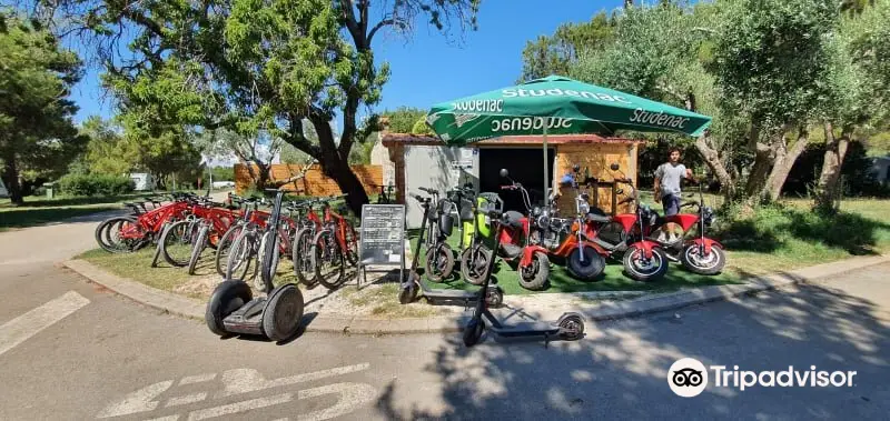 Segway Rovinj