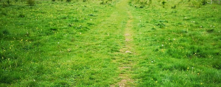 Home Farm Woodland Trail