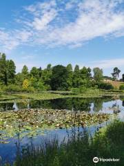 Pinetum di Bedgebury