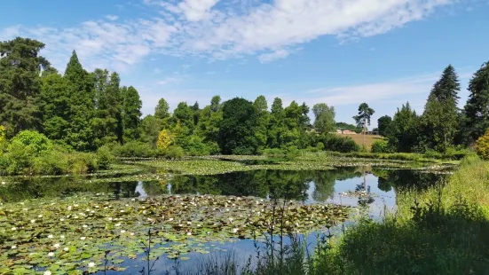 Bedgebury National Pinetum and Forest