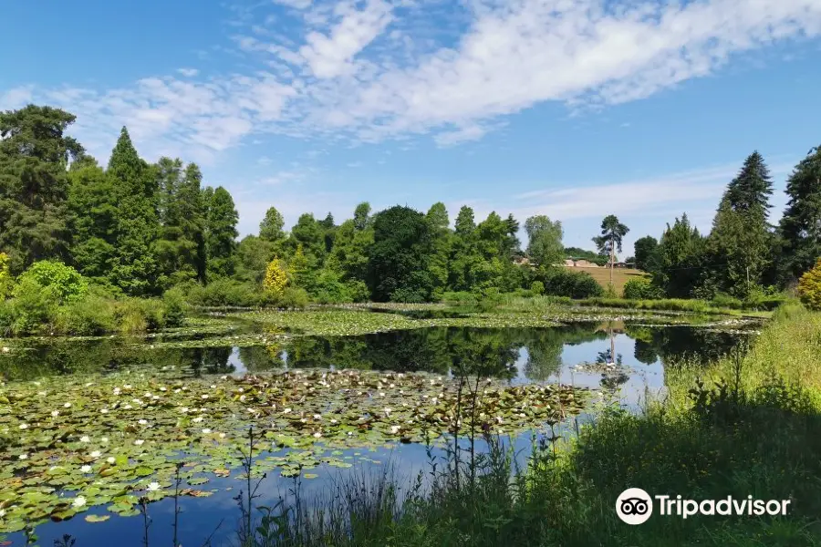 Bedgebury National Pinetum and Forest