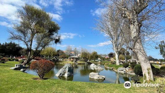 Japanese Garden La Serena