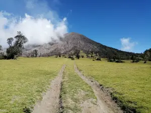 Hacienda La Central