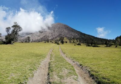 Hacienda La Central