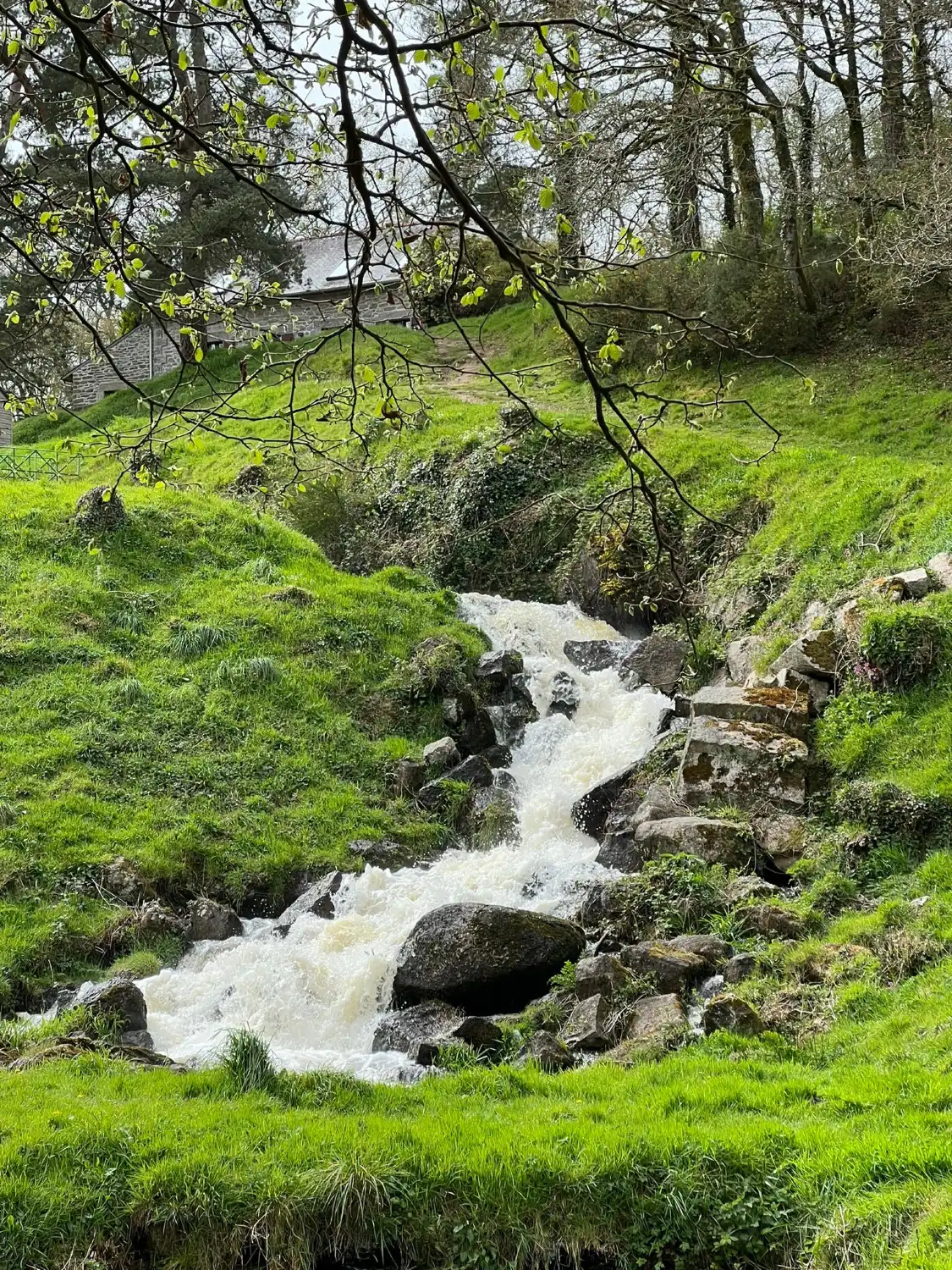 Hotels in der Nähe von Etang du Korong