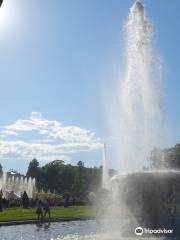 Bowl Fountains