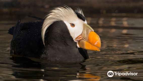 オレゴンコースト水族館