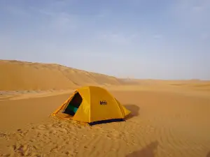 Liwa Oasis