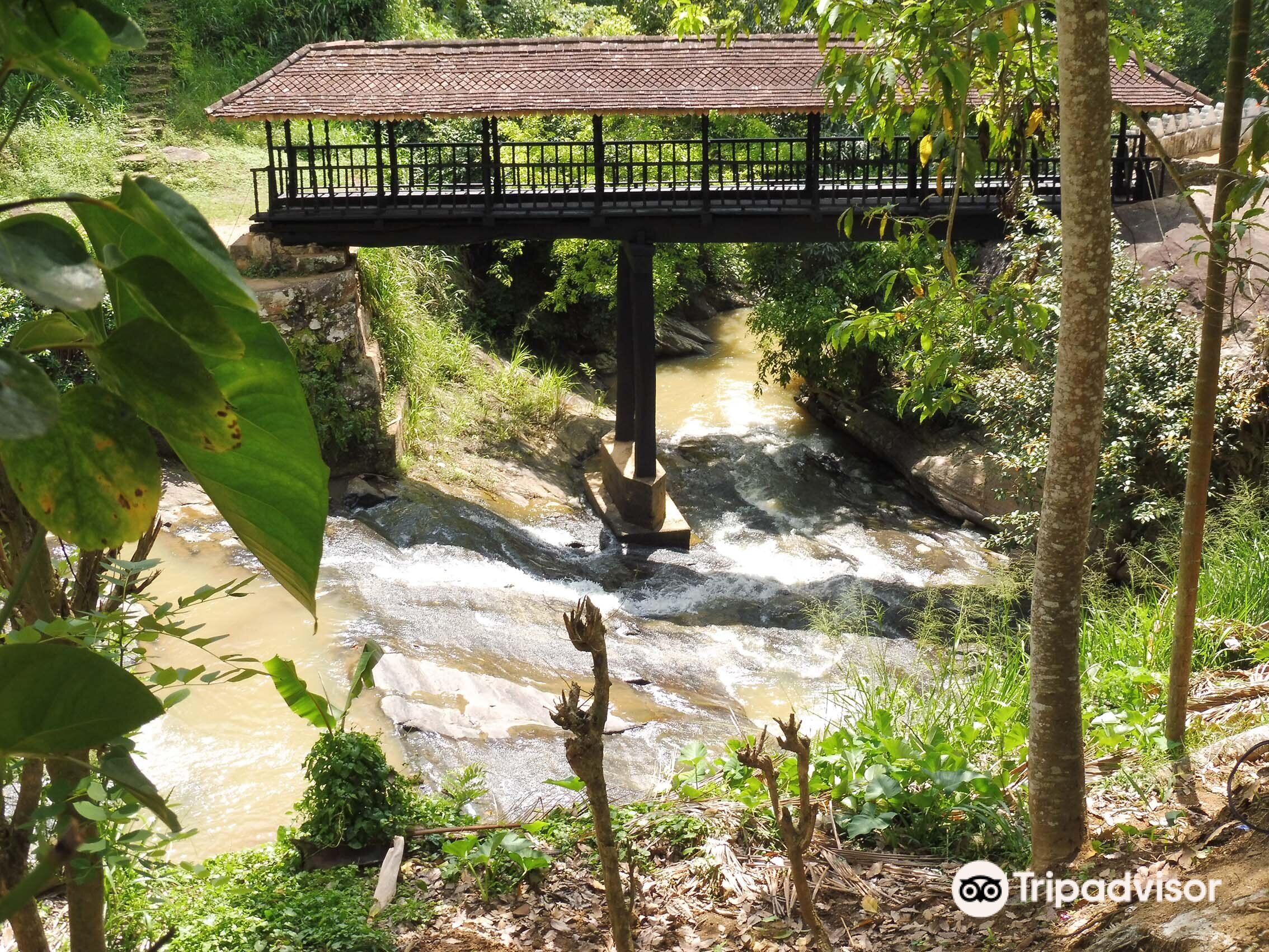 Heaven Hut Spa - Picture of Heaven Hut Spa, Chiang Mai Province -  Tripadvisor