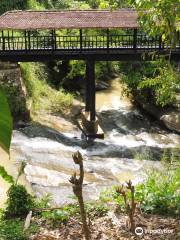 Bogoda Old Wooden Bridge