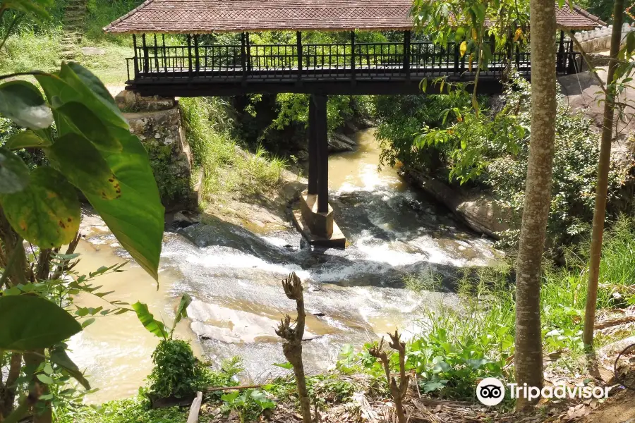 Bogoda Old Wooden Bridge