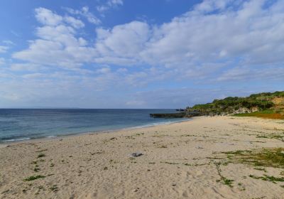 前浜海岸