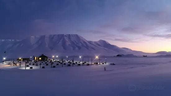 Green Dog Svalbard