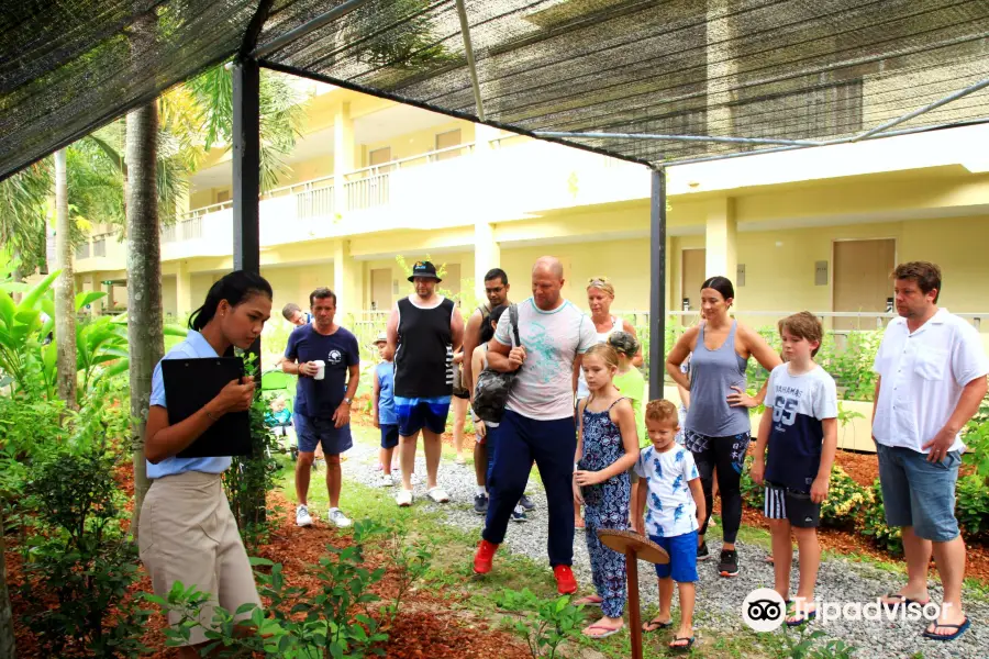 Butterfly Sanctuary