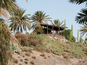 Jardín Botánico Fuerteventura