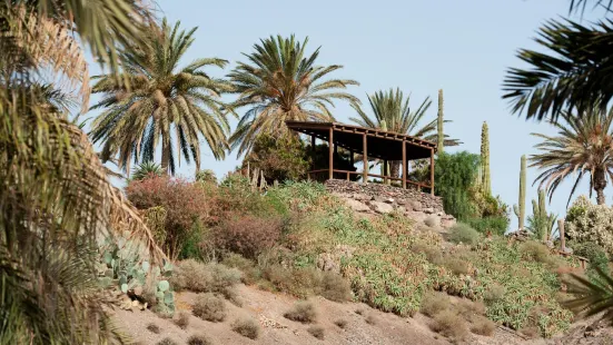 Fuerteventura Botanical Garden