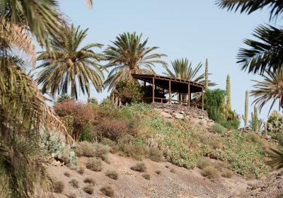 Fuerteventura Botanical Garden