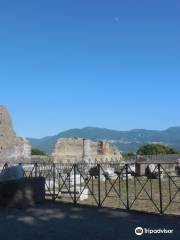 Tempio di Venere