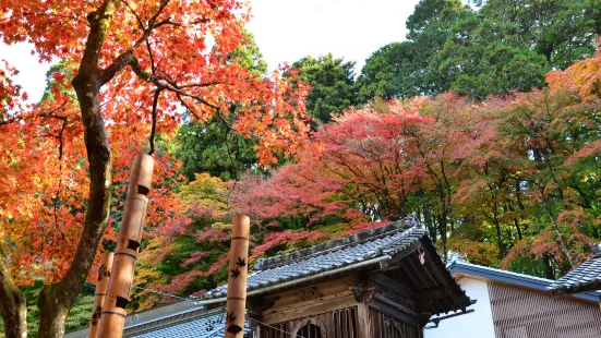 Kojaku-ji Temple